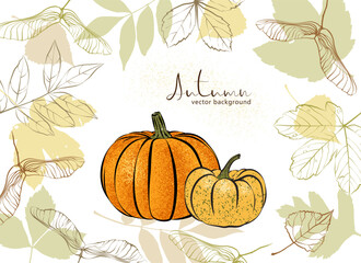 1580_Vector autumn background with textured pumpkins, leaves and maple keys