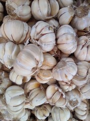 Fresh Organic Garlic Bulbs for Culinary Delights and Health Benefits