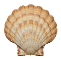 Fototapeta premium Scallop shell with a natural beige pattern isolated PNG with Transparent Background
