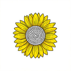 Fototapeta premium Bright yellow sunflower with detailed petals and textured center isolated on white