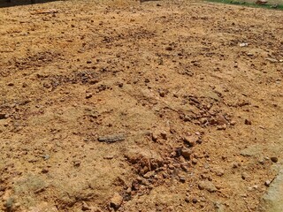 gravelly soil during the dry season in tropical