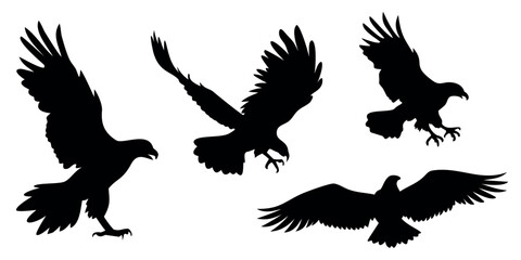 Obraz premium Vector Silhouette Set of Birds of Prey Eagle Hawk and Falcon Poses