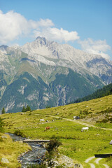 The panorama of Malfontal valley, Pettneu am Arlberg, Austria	
