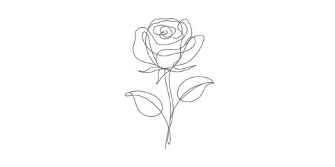 Continuous line drawing of a vector rose illustration minimalist floral art vector