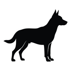 Silhouette of a belgian malinois dog standing alert profile view domestic animal silhouette