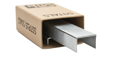 Metal Staples in Cardboard Box on Transparent Black Background