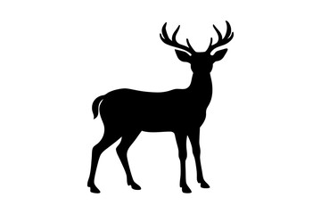deer vector illustration