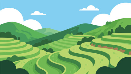 Scenic Terraced Rice Fields Under Blue Sky