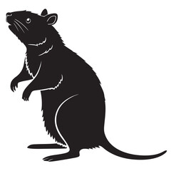 vector illustration of a black cat