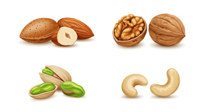 Assorted Nuts Collection Vector Art EPS ICON 447
