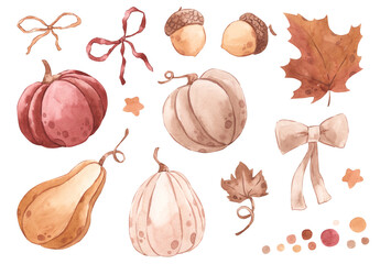 Watercolor pumpkin, bow, acorns, maple leaf, star illustration for kids