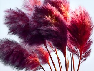 Graceful pink pampas grass plumes sway gently in the breeze, creating a soft and elegant natural texture.