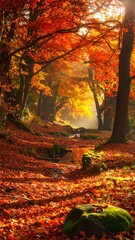 Autumn forest pathway