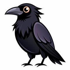 Un beau corbeau Corvus corax, oiseau Nord Pologne Europe