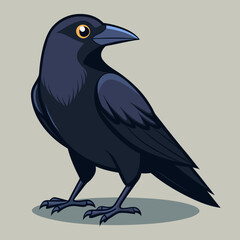 Un beau corbeau Corvus corax, oiseau Nord Pologne Europe