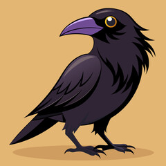 Un beau corbeau Corvus corax, oiseau Nord Pologne Europe