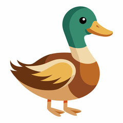 Illustration des canards sur l’eau