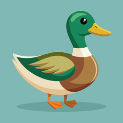 Illustration des canards sur l’eau