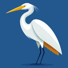 Une grande aigrette blanche dans les marécages du delta du Danube