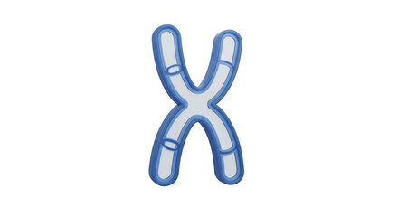 3D Chromosome X Shape Genetic Code Transparent
