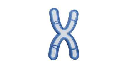 3D Chromosome X Shape Genetic Code Transparent