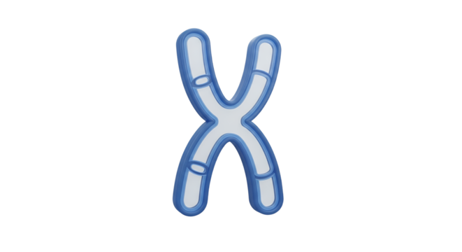 3D Chromosome X Shape Genetic Code Transparent