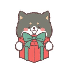 プレゼントをもらって喜ぶ黒柴犬