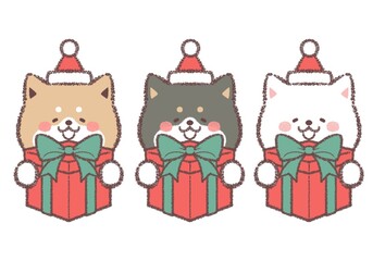 クリスマスプレゼントをもらって喜ぶ三柴犬セット
