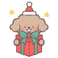クリスマスプレゼントをもらって喜ぶトイプードル