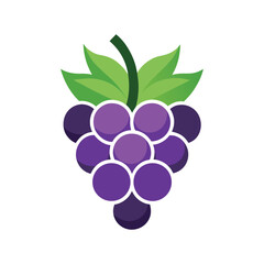 Purple grape cluster