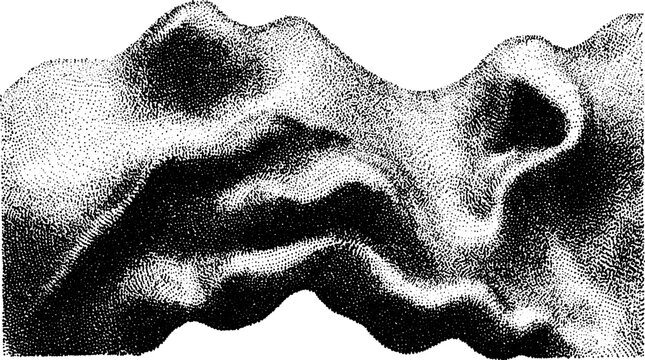 Abstract black and white vector illustration with smooth shapes and patterns forming a unique visual element.