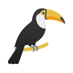 Exotic Toucan Bird Perched on Branch Flat Design Vector