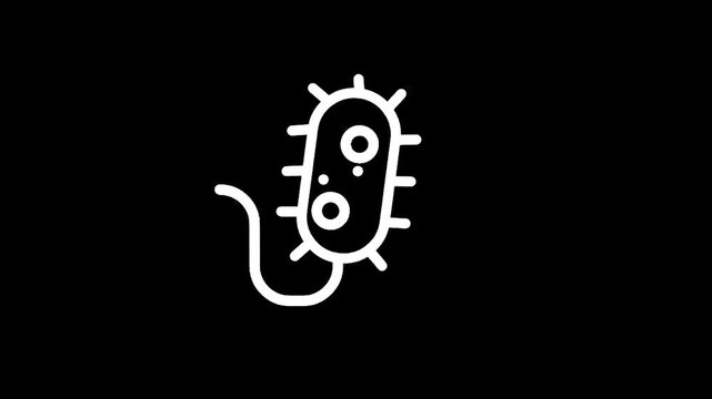 Illustration of a bacteria cell with flagellum on a black background.