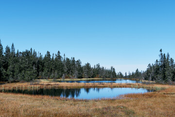 Toputta Lakes from the Svartdalstjerna Primeval Forest Nature Reserve of the Totenåsen Hills, Norway, in September 2025.