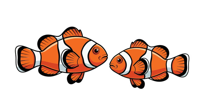 Two clownfish facing each other on a white background illustration.