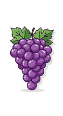 Bunch of purple grapes with green leaves isolated on a white background.