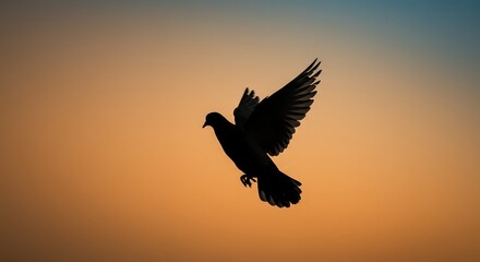 Silhouette of a flying bird against a vibrant sunset background copy space concept