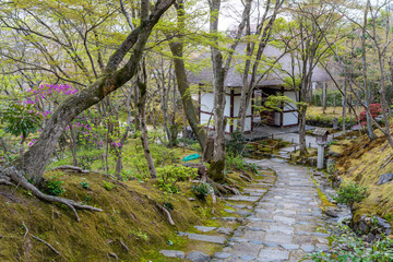 Jojakkoji Temple grounds moss garden path leading to traditional building. Kyoto, Japan.