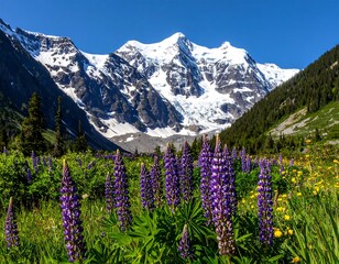 Alpine meadow with wildflowers and snowy peaks
