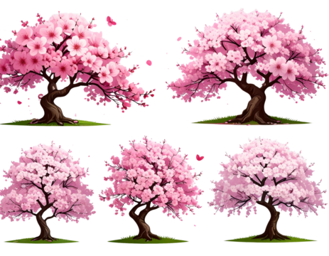 Set of Vector cherry blossoms in full bloom transparent png background. Ai generated 