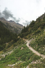 Mountain landscape in the French Alps during summer