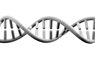 A detailed 3d rendering of a dna double helix, showcasing its intricate structure and genetic significance isolated on transparent background perfect for illustrating science