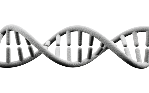 A detailed 3d rendering of a dna double helix, showcasing its intricate structure and genetic significance isolated on transparent background perfect for illustrating science