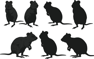 Set of black rat silhouettes standing and sitting in different poses isolated vector illustration animal wildlife pest control graphic design