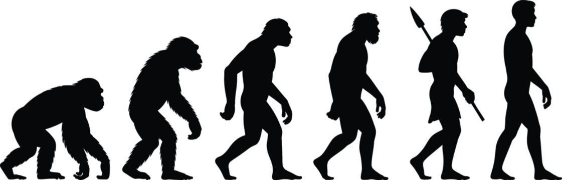 Silhouette progression of human evolution from ape to modern man
