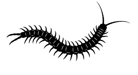 Fototapeta premium Vector art of a centipede, its segmented body undulating across the surface, each tiny leg propelling it forward with relentless determination and purpose