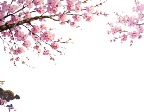 Wide Angle Blooming Cherry Blossoms Over Ocean Horizon Soft Cloud Sky Isolated on Transparent Background PNG - Powered by Adobe