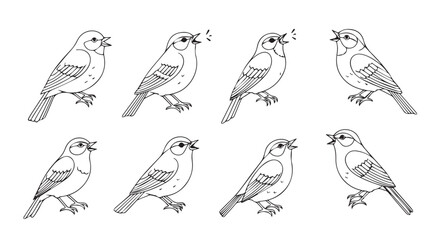 Collection of eight detailed sparrow illustrations showing different poses and angles realistic line art vector