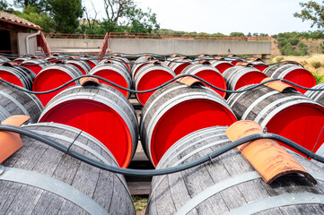 Old oak barrels for aging of natural sweet red grand cru wine Banyuls outdoor in sunlights, ...