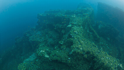 Submerged Remains of a Shipwreck in a Coral Reef